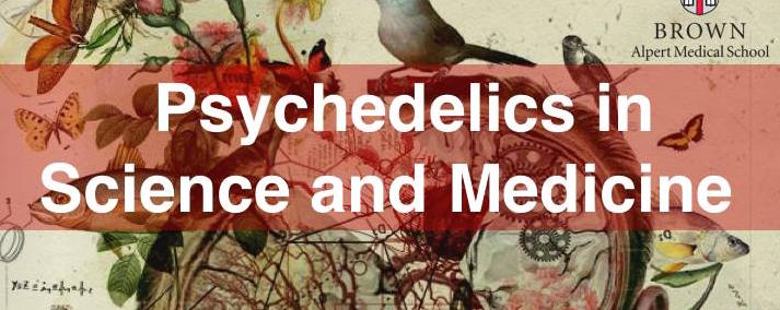 Psychedelics in Science and Medicine